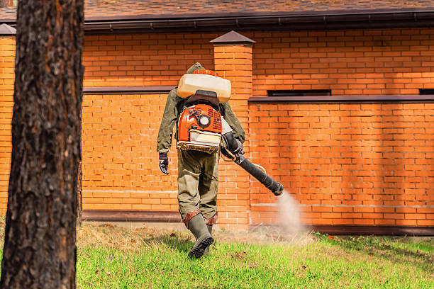 Bed Bug Clearance Verification and Documentation in Calverton